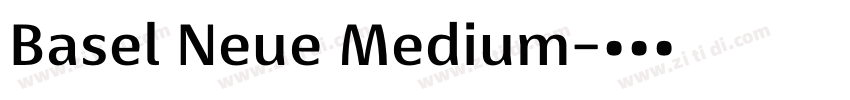 Basel Neue Medium字体转换